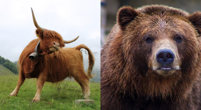 Optimism Has Finally Re-Emerged But The Mix Of Bulls And Bears Is Not Bullish For Stocks