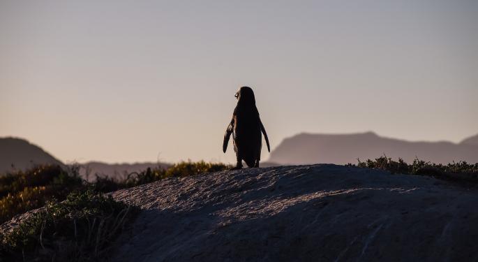 Pudgy Penguins Floor Price Soars, Following Extended Downturn, Proving Market Resilience