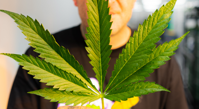 Next Green Wave's CMO On Seed-To-Sale Business Plan, M&A Opportunities, Carey Hart Partnership