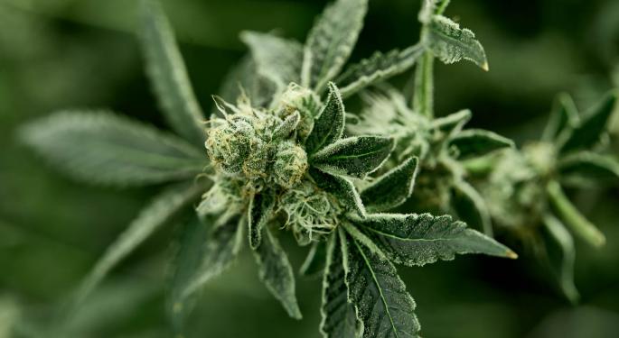 Why THCV, One Of The Many Compounds In Cannabis, Might Be The Next Big Thing In Weed
