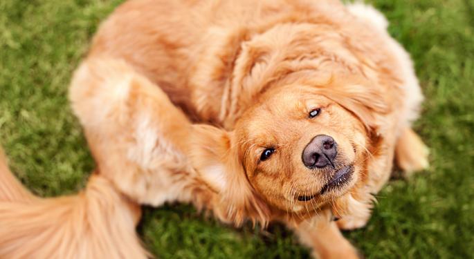 Alpha To Dogs With Fleas: Evaluating Growth Stocks With Navellier & Associates Founder Louis Navellier