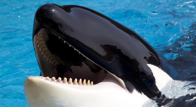 SeaWorld Brand Sentiment Has Fallen, But The Stock Could Still Be A Buy
