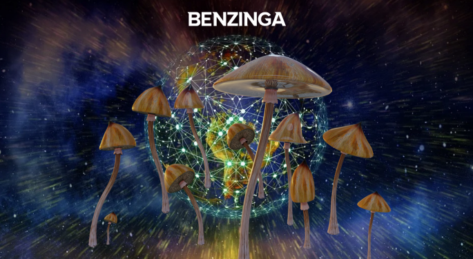 Reflections On The Headspace Of Mental Health, Magic Mushrooms And Blockchain