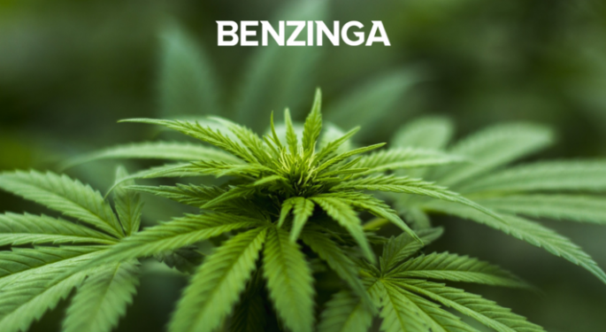 This Is What Cannabis Operators Fear Most, New Survey Shows