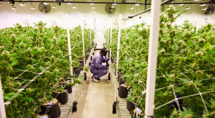 Jay-Z And Caliva Share Details Of Monogram Cannabis Brand, Mentorship Program