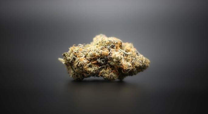 Flora Growth Taps Cannabis Genetics And Cultivation Expert Derek Pedro As Advisor