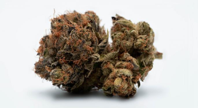 Organigram Q4 Revenue Grows 22% YoY To $24.9M, Remains #4 Cannabis LP In Canada