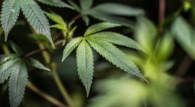 Cannabis Retailer Eden Empire Finds Partner To Lead Its Michigan Franchise Expansion