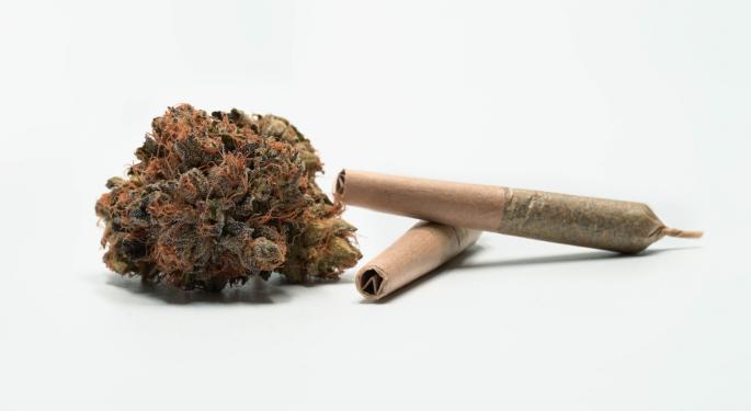 Native Roots Founder To Bring Immersive Marijuana Shopping Experience Greatest Hits Cannabis To East Coast