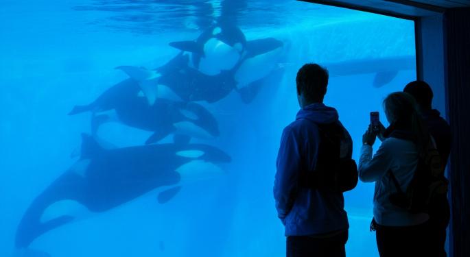 SeaWorld Set For A Turnaround?