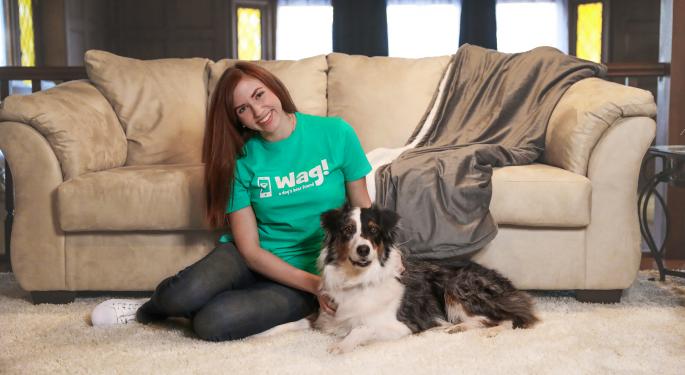 EXCLUSIVE: CHW Acquisition SPAC Partner Wag Labs Clocks 238% Q4 Revenue Growth