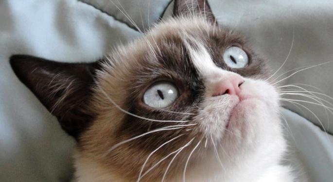 The World's Grumpiest Cat Finds Love — Fetching $83,000 In NFT Sale