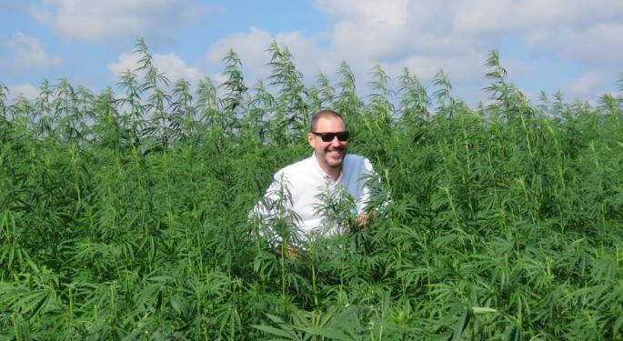 How Poland's History Made The Nation A Leader For Industrial Hemp