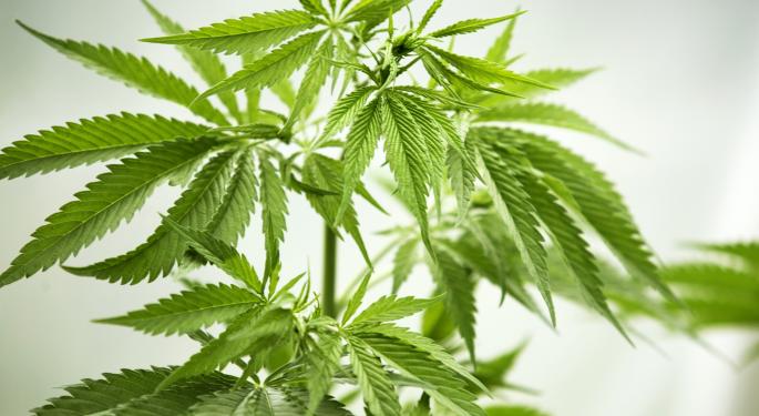 The Marijuana CARERS Act: What You Need To Know