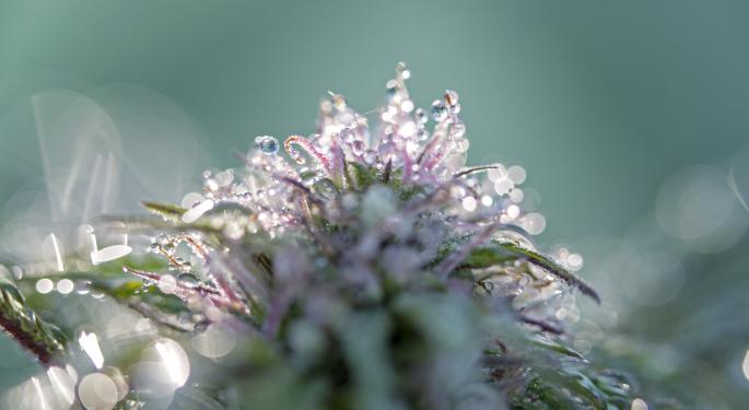 Avicanna Completes Registration And Commercial Export Of Pura Earth CBD Brand In Ecuador