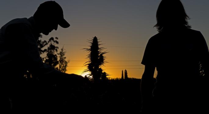 Marijuana Justice Coalition Calls For A Floor Vote On The More Act