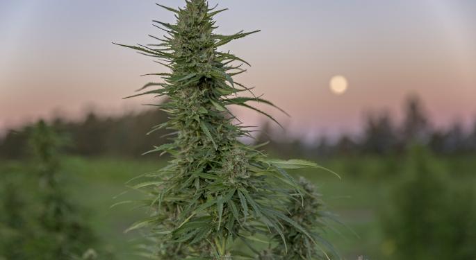 Fire And Flower: Why This Analyst Lowered His Price Target Yet Remains Bullish & Sees Nearly 100% Upside Potential