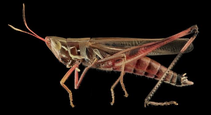 Beans And Bugs: Meat Alternatives Quietly Proliferate
