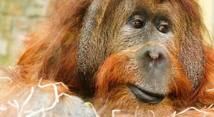 'APE' Is The New 'FANG', But What Is 'APE'?