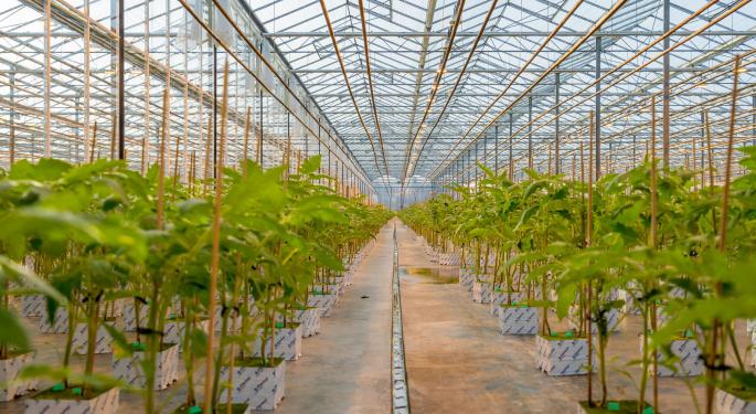 AgraFlora Subsidiary Prepares First Batch Of CBD Oil, CBD Distillate