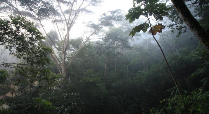 The Amazon Rainforest Is On Fire And Burning Out Of Control