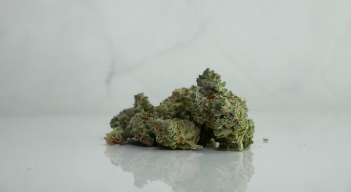 Curaleaf Exports Over A Ton of Medical Cannabis to Israel, Tikun Olam-Cannbit Inks Deal With Israeli HMO
