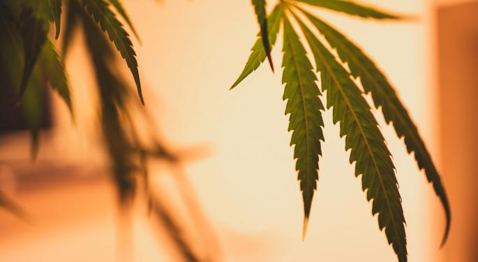 Willow Biosciences Touts Strong Q3 Results, Continues Its Focus On Biosynthetically Produced Cannabinoids