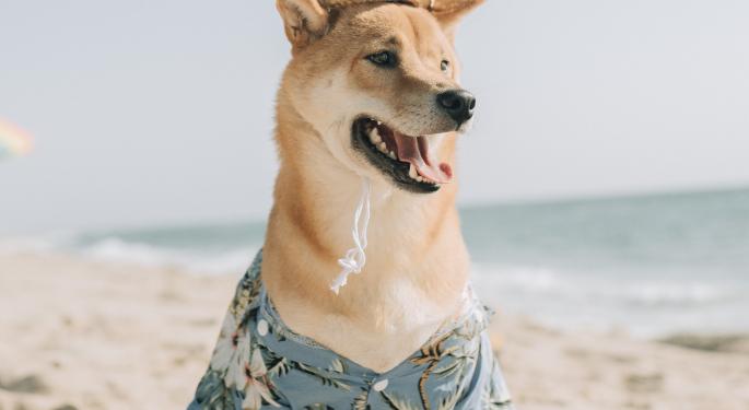 Why Is Dogecoin Being Succhhhh A Good Boi Right Now?