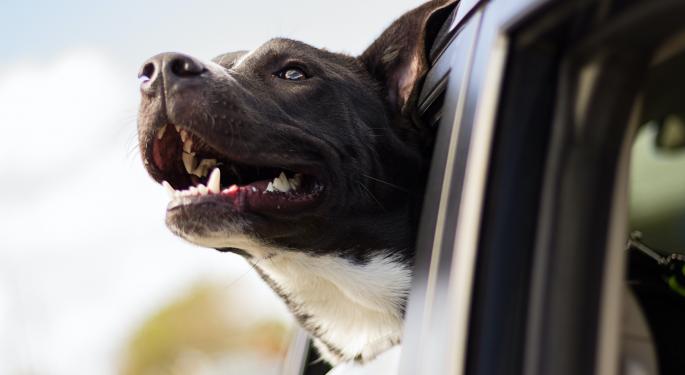 Ford Files Patent For Tesla DogMode-Like Feature Dubbed Pet Mode