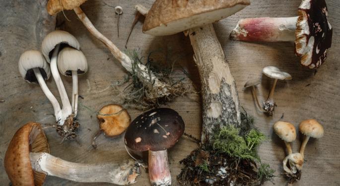 Silo Wellness Signs $3M U.S. Distribution Deal For Functional Mushroom Products