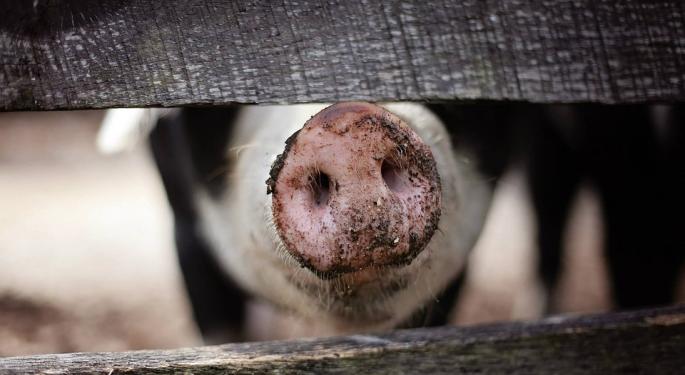 What's Behind The Rally In Hog Futures?