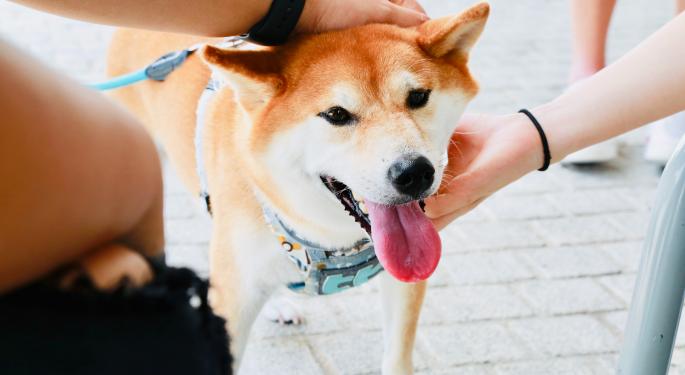 Why Did A Canadian Healthcare Company Add $1.5M Shiba Inu To Its Balance Sheet?