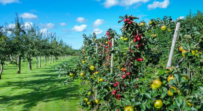 Weekly Orchard Online Lending Recap: New Entrant, Investments And Competition