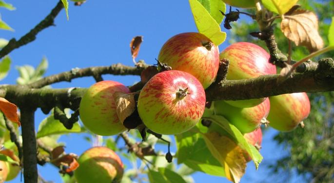 Apple Stock Ripe For Picking As iPhone 8 Cycle Looms