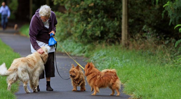 For Fun Or Profit, 8 Careers To Pad Your Time And Savings Post-Retirement