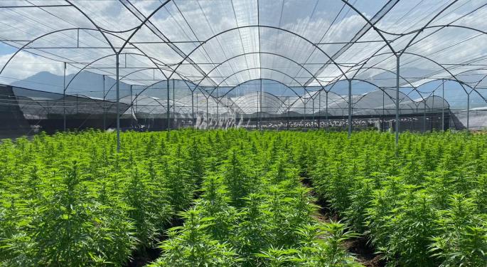 This Company Was Surprisingly Named S&P Global's Most Sustainable Brand In Cannabis