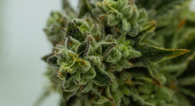 HempMeds' Latin American Operations Hit Record Revenue Month In June, Up By 84% From May
