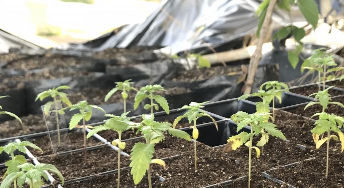 Pot Stocks, ETFs, Top News And Data From The Cannabis Industry This Week