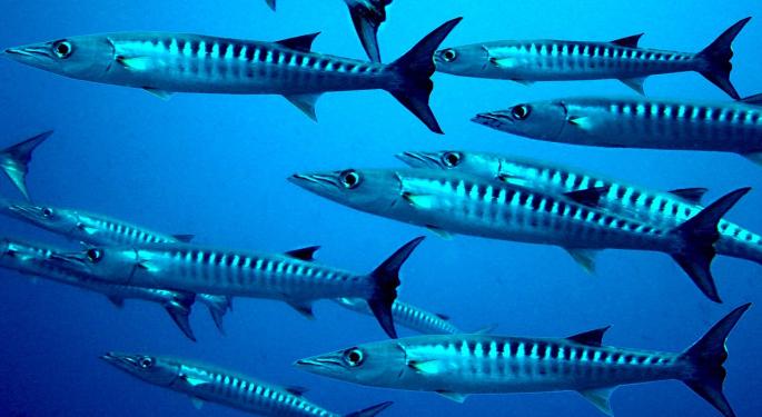 Barracuda Networks Posts Solid Q3 Results; D.A. Davidson Upgrades