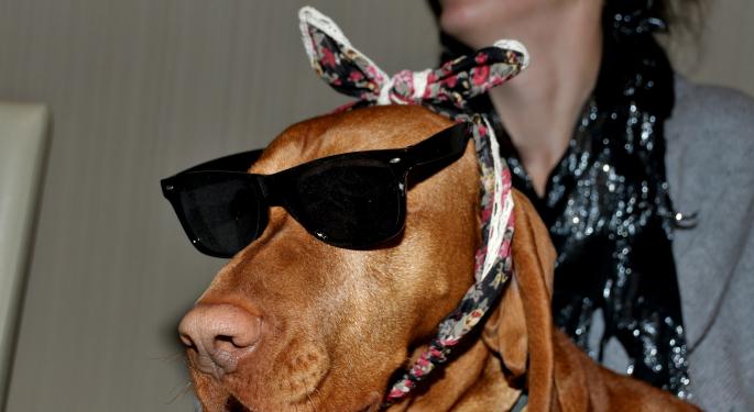 Terms Of The Trade: Dogs Of The Dow Investing Strategy