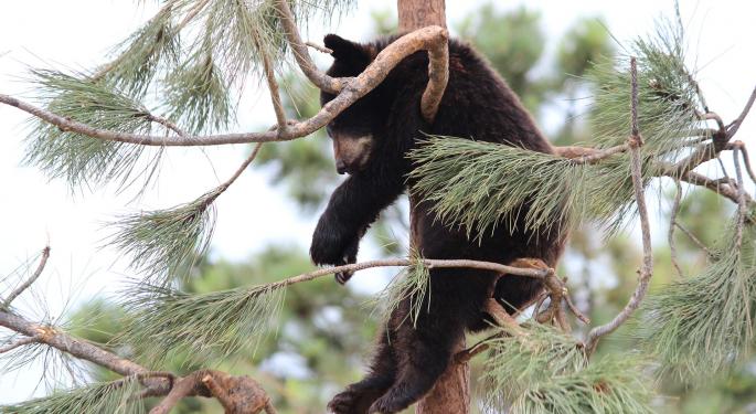 While 'Baby Bears' Are Hibernating, Some Think Goldilocks Growth Phase Is Next