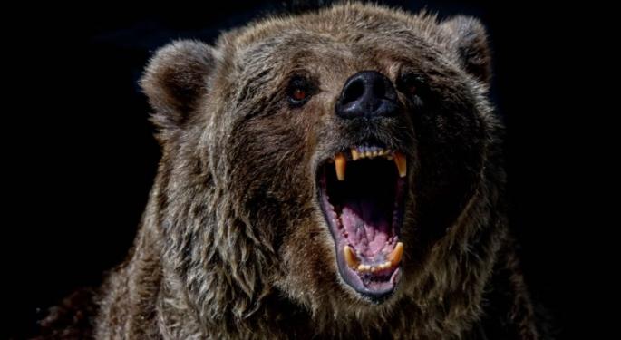 What Made The Lone Apple Bear Finally Change His Negative Stance On The Tech Giant?