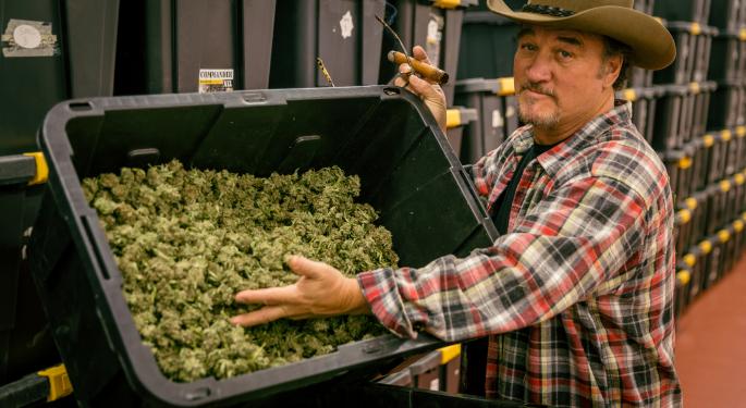 Curaleaf Partners With Belushi's Farm To Introduce New Vape Pen