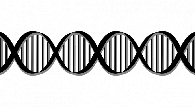 Baird: Preclinical Data Inspires 'Early Optimism' In Lead Intellia Therapeutics Asset