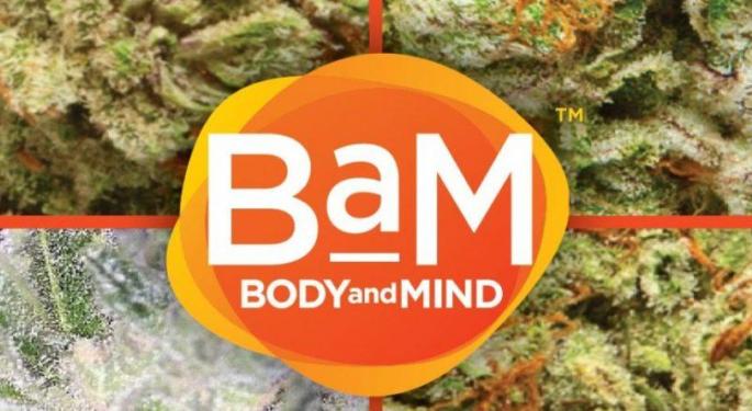 Earnings Roundup: C21 Investments, Body And Mind, CBD Of Denver