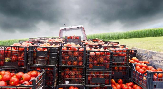 Mexican Tomatoes Face More Scrutiny At The Border Starting April 4