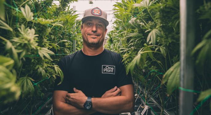 Bluma CEO Plans More One Plant Florida Stores Amid 'Unprecedented' Covid Challenges