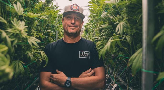 Flush With Money and Ballot Victories, Cannabis Lobbyists Call For Unified Effort