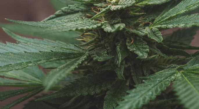 Cannabis Movers & Shakers: JMP Group, GTI, Curaleaf, Conception Nurseries, Myconic, AMP, Neon, NCR, 22nd Century, cbdMD