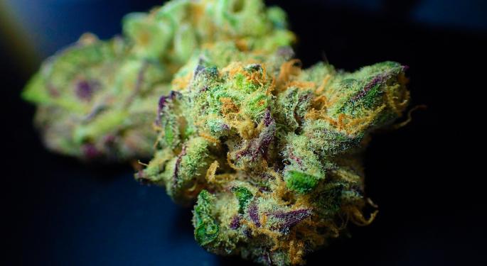 Industry Analysts Predict Which US Cannabis Markets Will Excel in 2021